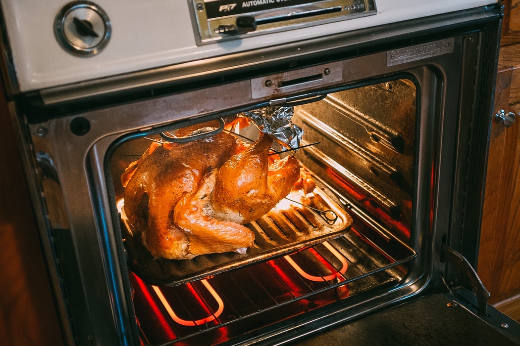 Can Cats Eat Turkey?