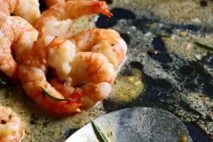 Can Cats Eat Shrimp?