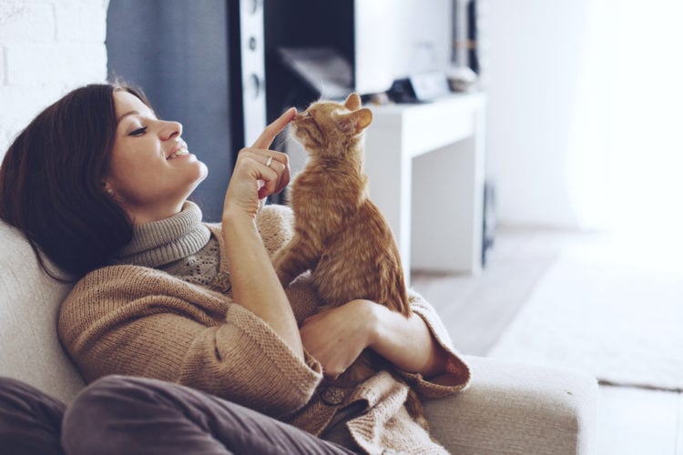 How Much Attention Do Cats Really Need?
