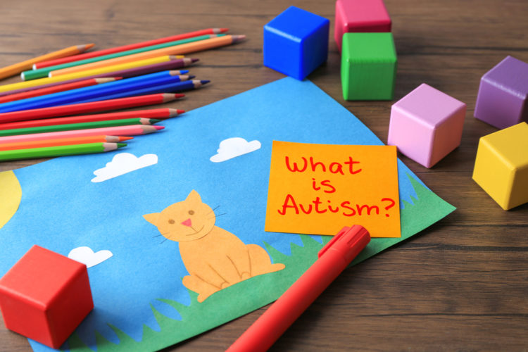 Are Cats and Autistic Children a Good Match?